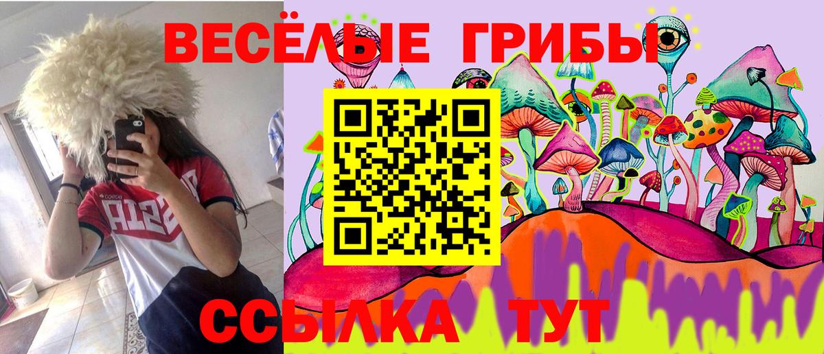 Псилоцибиновые грибы GOLDEN TEACHER  Вход с VPN  цены наркотик  Муравленко 