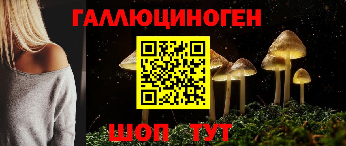 Галлюциногенные грибы Psilocybe Муравленко